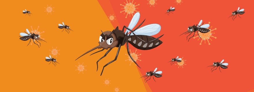 Mosquito Diseases